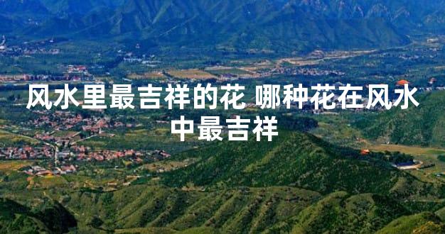 风水里最吉祥的花 哪种花在风水中最吉祥